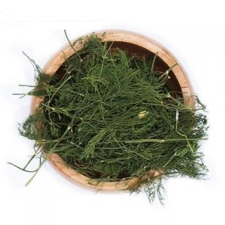 شوید کوهی (چاوک)
