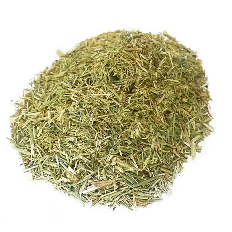 خارشتر