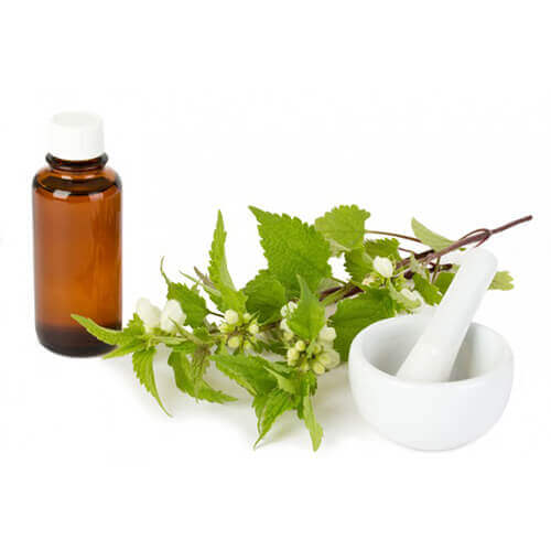 روغن گزنه