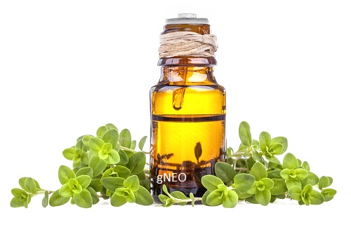 روغن مرزنجوش