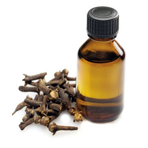 روغن میخک فله قانون