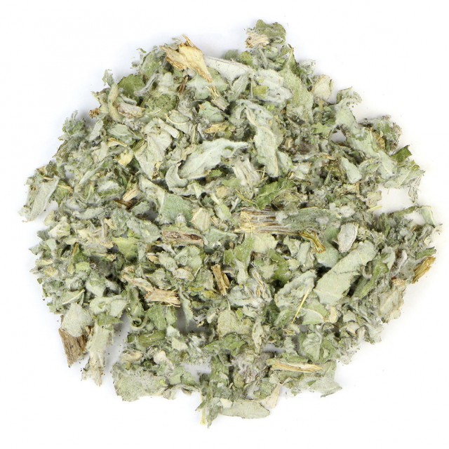 کنگر فرنگی (آرتیشو)
