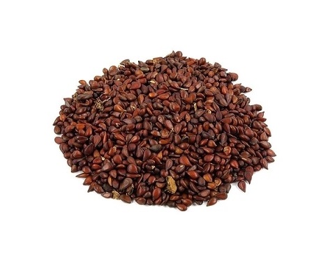 به دانه