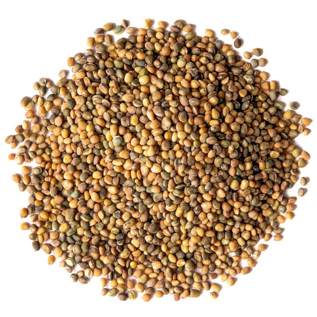 کیکوج (منداب)
