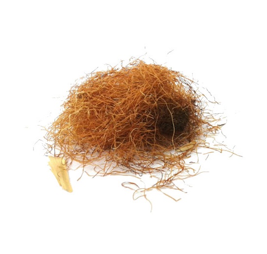 کاکل ذرت