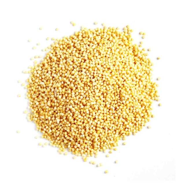 ارزن ریز