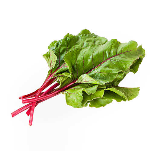 برگ چغندر