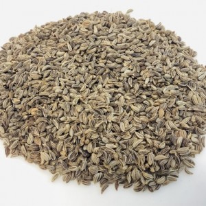 دانه یا تخم (بذر) جعفری