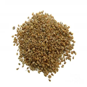دانه یا تخم (بذر) کرفس