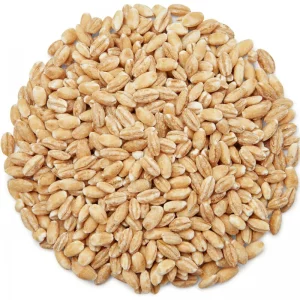 جو پوست کنده