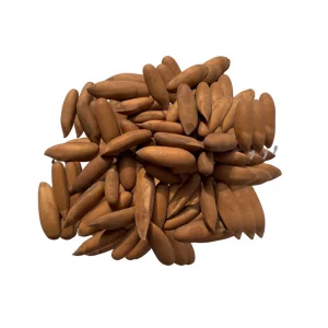 چلغوز