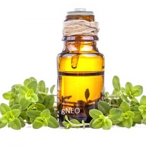 روغن مرزنجوش
