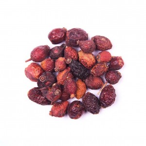 میوه نسترن