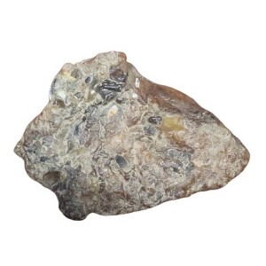 عنبرطلا