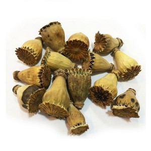 گرز شقایق