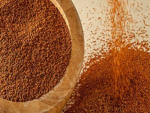 فروش عمده خاکشیر در یاسوج کهکیلویه بویراحمد