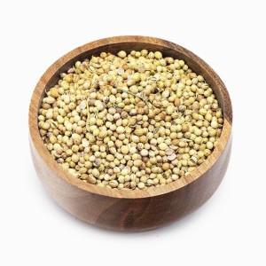 تخم گشنیز