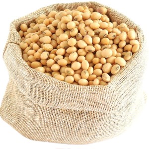سویا