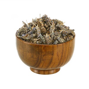 اسطوخودوس