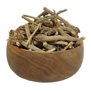 ریشه کاسنی