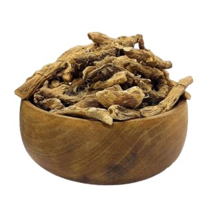 ریشه اگیر ترکی