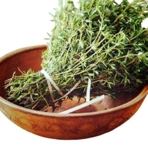 آویشن کوهی