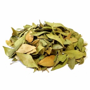 برگ مورد