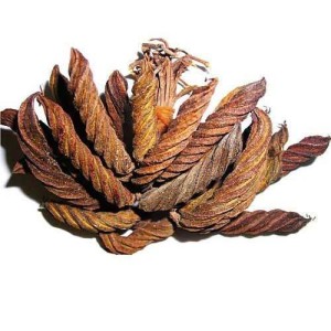 بهمن پیچ