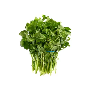 بولاغ اوتی (علف چشمه)