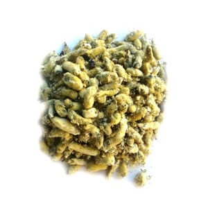 گل بیدمشک