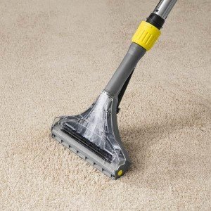 پارویی موکت شوی KARCHER 4.130 مخصوص PUZZI