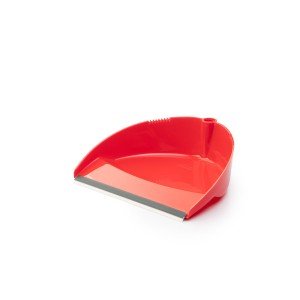 خاک انداز تک استاده D40