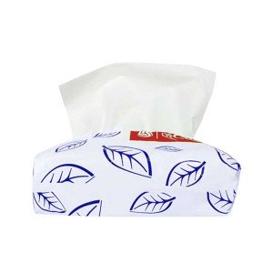 دستمال کاغذی اقتصادی 250 برگ دولایه (500 برگ) 30 عددی