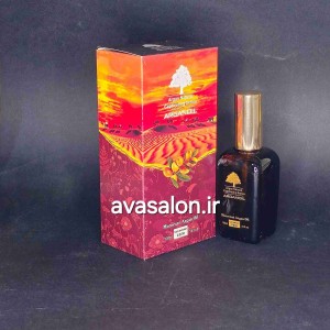 روغن آرگان مراکشی اصل | تغذیه‌کننده، ترمیم‌کننده و نرم‌کننده موهای خشک و آسیب‌دیده