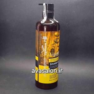شامپو لایتنس Lightness آرگان Argan Oil | شامپو تقویت‌کننده، نرم‌کننده و آبرسان موهای خشک و آسیب‌دیده