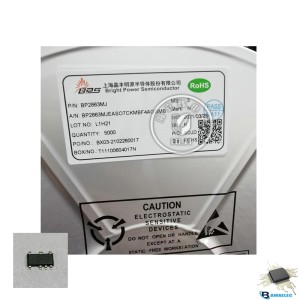 BP2863SK