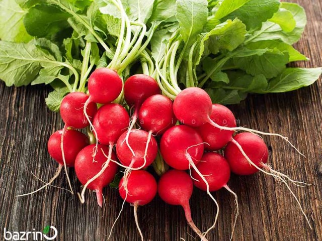 بذر تربچه نقلی 100 گرمی