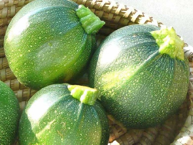 کدو خورشتی گرد سبز