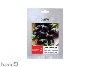 بذر بیبی بادمجان مشکی