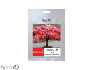 بذر افرا پالماتوم