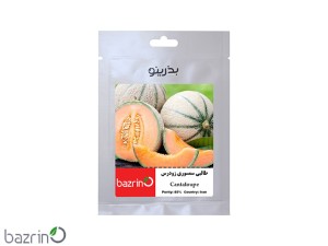 بذر طالبی سمسوری زودرس