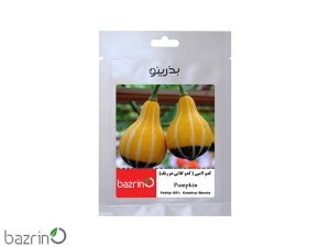 بذر کدو لامپی ( کدو گلابی دو رنگ)