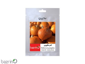 بذر کدو هالووین