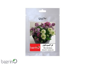 بذر گل آلیسوم الوان (گل عسل)