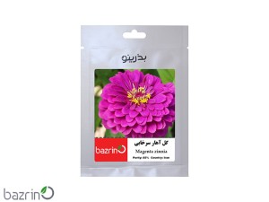 بذر گل آهار سرخابی