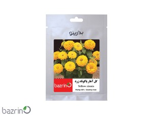 بذر گل آهار پاکوتاه زرد