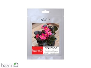 بذر گل بگونیا کوکتیل تکیلا
