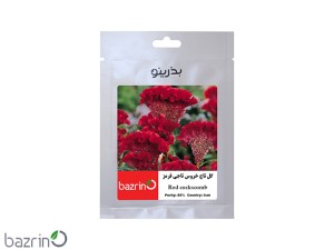 بذر گل تاج خروس تاجی قرمز