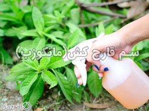 ضدعفونی کننده بستر کشت(مانکو)