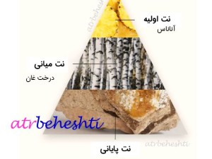 عطر کرید اونتوس برند کالکشن 054